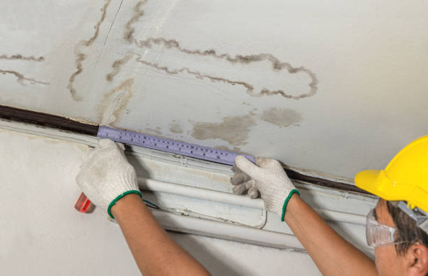Reliable Mold Remediation contractor in Concord, MI by Water Damage Irwin